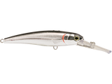 Voyager
