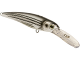 Voyager