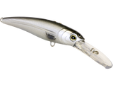Voyager