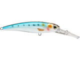 Voyager