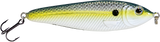 EBS Jigging Spoon