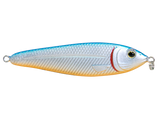 EBS Jigging Spoon