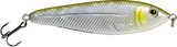 EBS Jigging Spoon