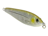 EBS Jigging Spoon
