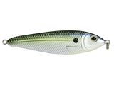 EBS Jigging Spoon