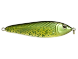 EBS Jigging Spoon