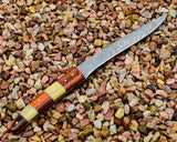 Custom Handmade Damascus Fillet Knife with Bone and Rosewood Handle - 10.5" Overall Length with Leather Sheath