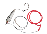 Gatto Loco Catfish Rig