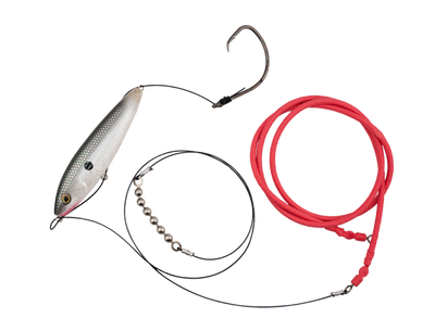 Gatto Loco Catfish Rig