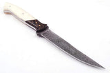 Custom Handmade Damascus Fillet Knife - 12" Bone & Exotic Wood Handle with Brass Bolster and Leather Sheath