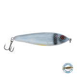 EBS Jigging Spoon