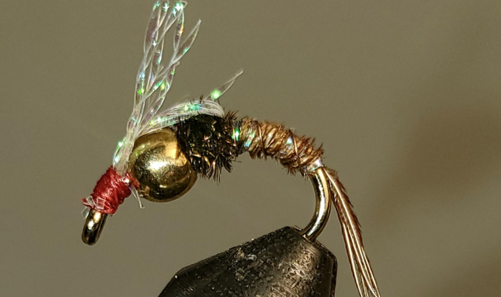 BH Sparkle Back PT