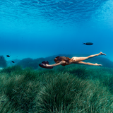 Sublue Vapor Underwater Sea Scooter for Diving & Snorkeling